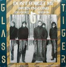Glass Tiger - Don't Forget Me ( When I'm Gone )