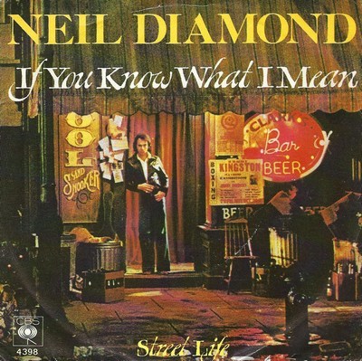 Neil Diamond - If You Know What I Mean