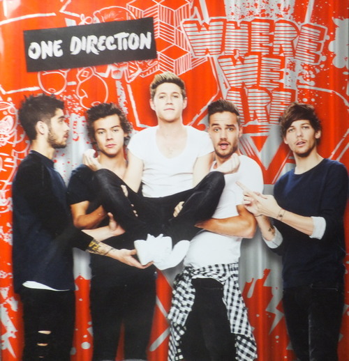 One Direction – Where We Are ( Tour Program 2014 )